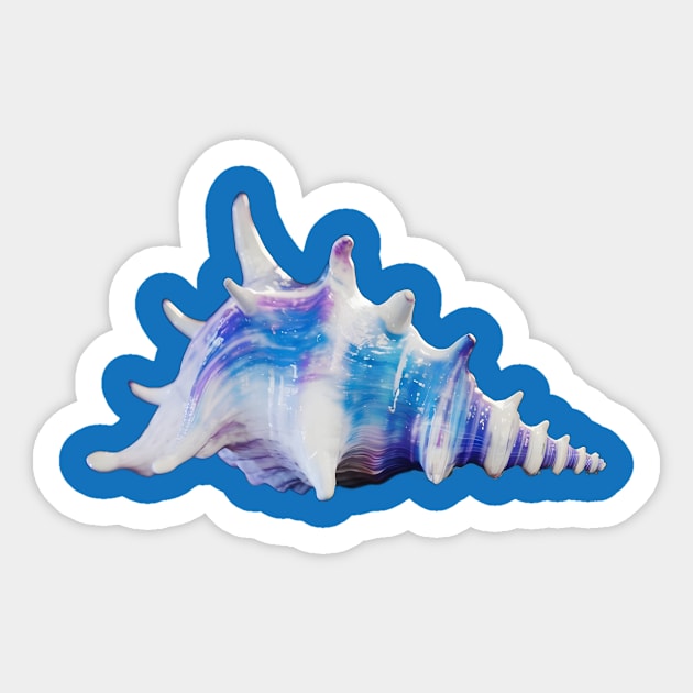 Single Seashell with Prominent Spikes and a Swirling Pattern Sticker by animegirlnft